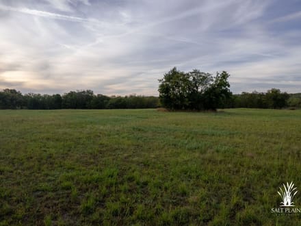 38+/- acres on Hwy 51