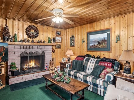 Mountain Cabin