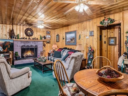 Mountain Cabin
