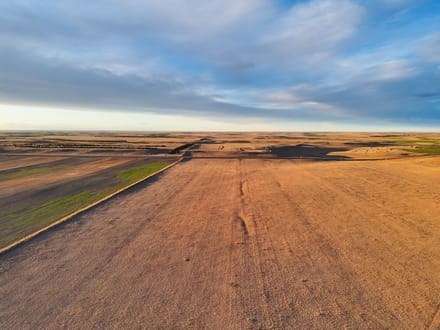 Large Quarter of Expired CRP & Good Soils
