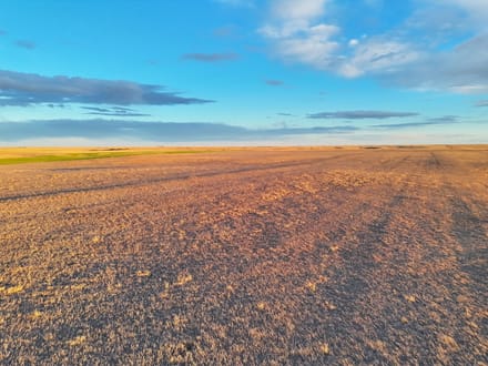 Large Quarter of Expired CRP & Good Soils