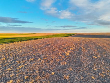Large Quarter of Expired CRP & Good Soils