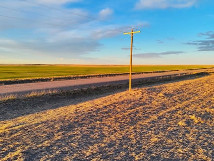 Large Quarter of Expired CRP & Good Soils
