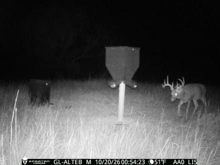 Recreational/Investment Property with New Muddy Deer Blind & Cropland Cash Lease Income