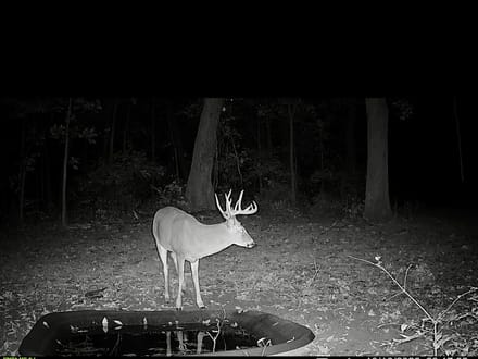 Cass County IL 11+- acres great deer and turkey hunting!