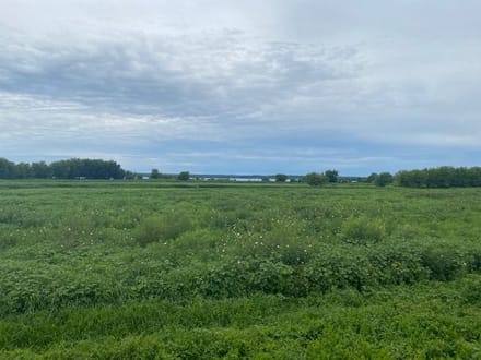 Woodford County IL Duck Club