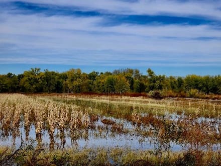 Woodford County IL Duck Club