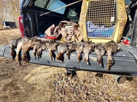 Woodford County IL Duck Club