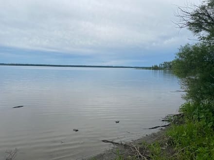 Woodford County IL Duck Club