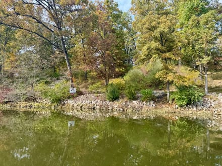 Schuyrush Lake lot-on the deep side!