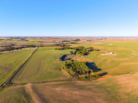 Slicker Creek Farm