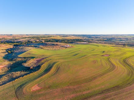 Slicker Creek Farm