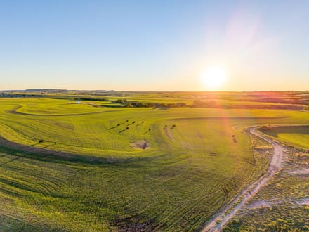 Slicker Creek Farm