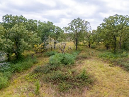 Windy Lane Acreage