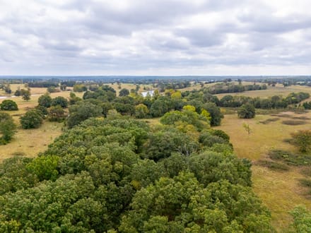 Windy Lane Acreage
