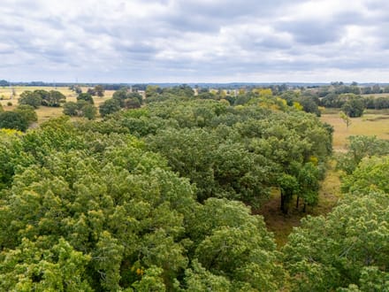 Windy Lane Acreage