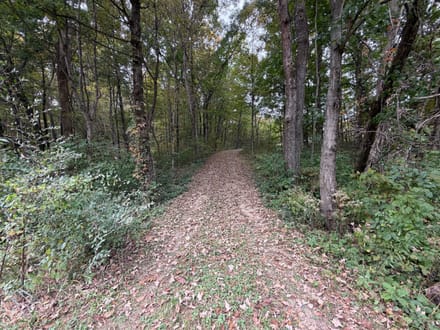 10 Acres with lofted cabin in Fountain County 