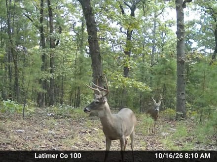 Latimer County 100