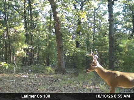 Latimer County 100