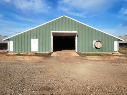 Big C Broiler Farm