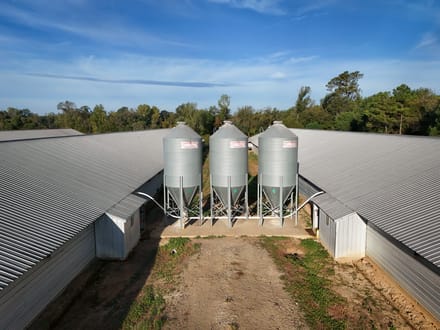 Big C Broiler Farm