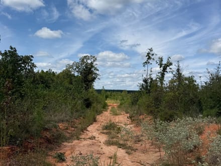 Attala 114