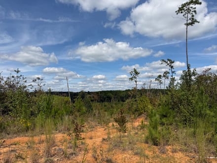 Attala 114