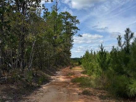 Attala 114