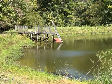 270 Peacock Lane