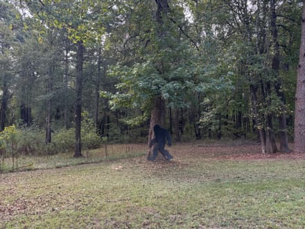 McCurtain 7.9