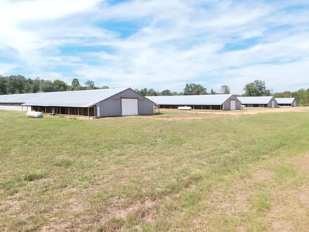 T.V. Broiler Farm