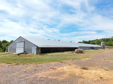 T.V. Broiler Farm