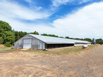 T.V. Broiler Farm