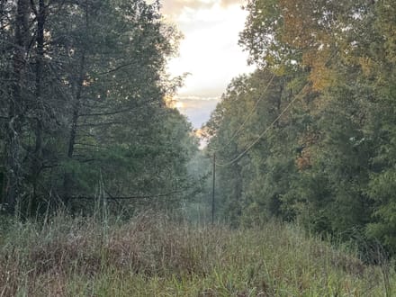 Attala 37.4