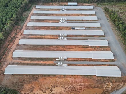 Jojo Broiler Farm