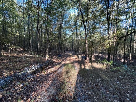 Polk Road 615