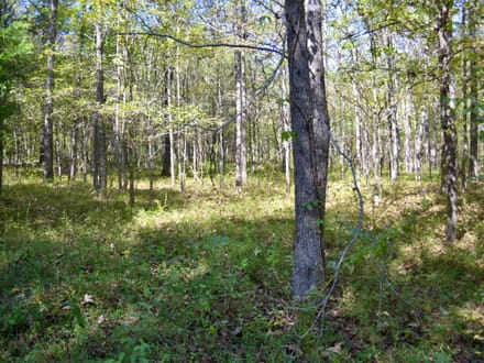 Fayette 9.68