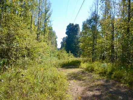 Fayette 9.68