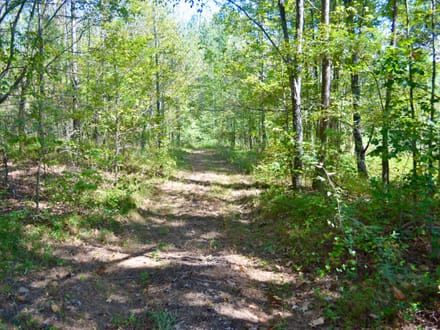 Fayette 9.68