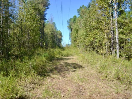 Fayette 9.68