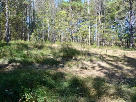 Fayette 9.68