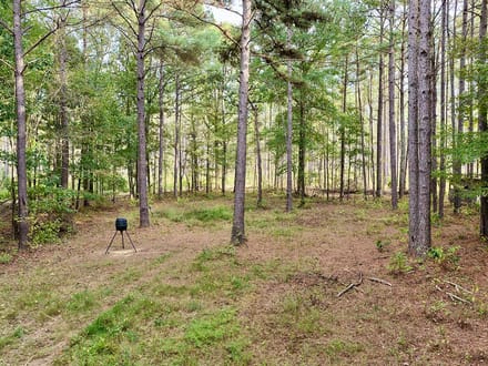 Oktibbeha 30
