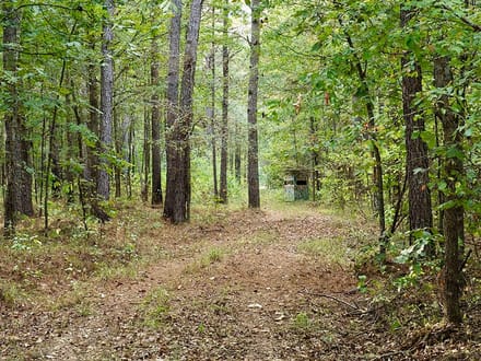 Oktibbeha 30