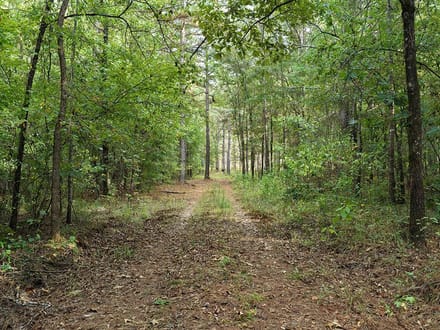 Oktibbeha 30