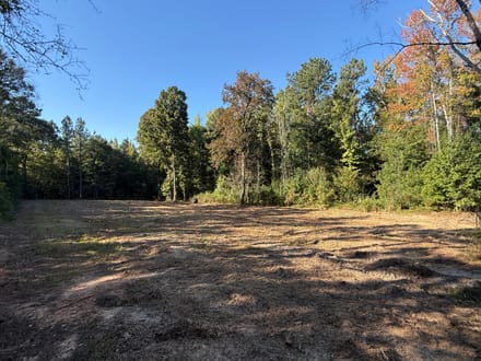 Choctaw 60