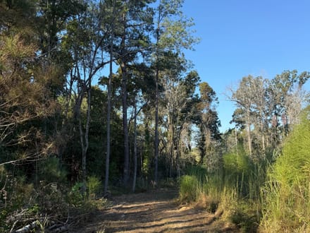 Choctaw 60