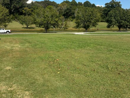Pinhook Lot 9