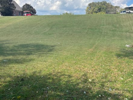 Pinhook Lot 9