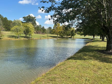 Pinhook Lot 9