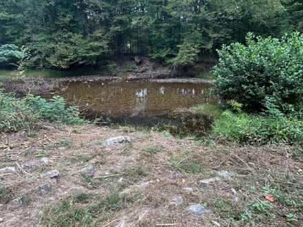 6117 Hwy 8 E